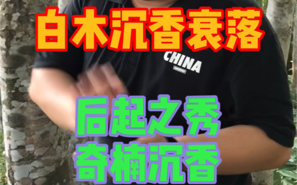 [图]为什么大家都不愿意种植白木香？