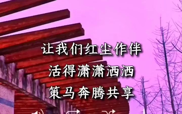 让我们红尘作伴