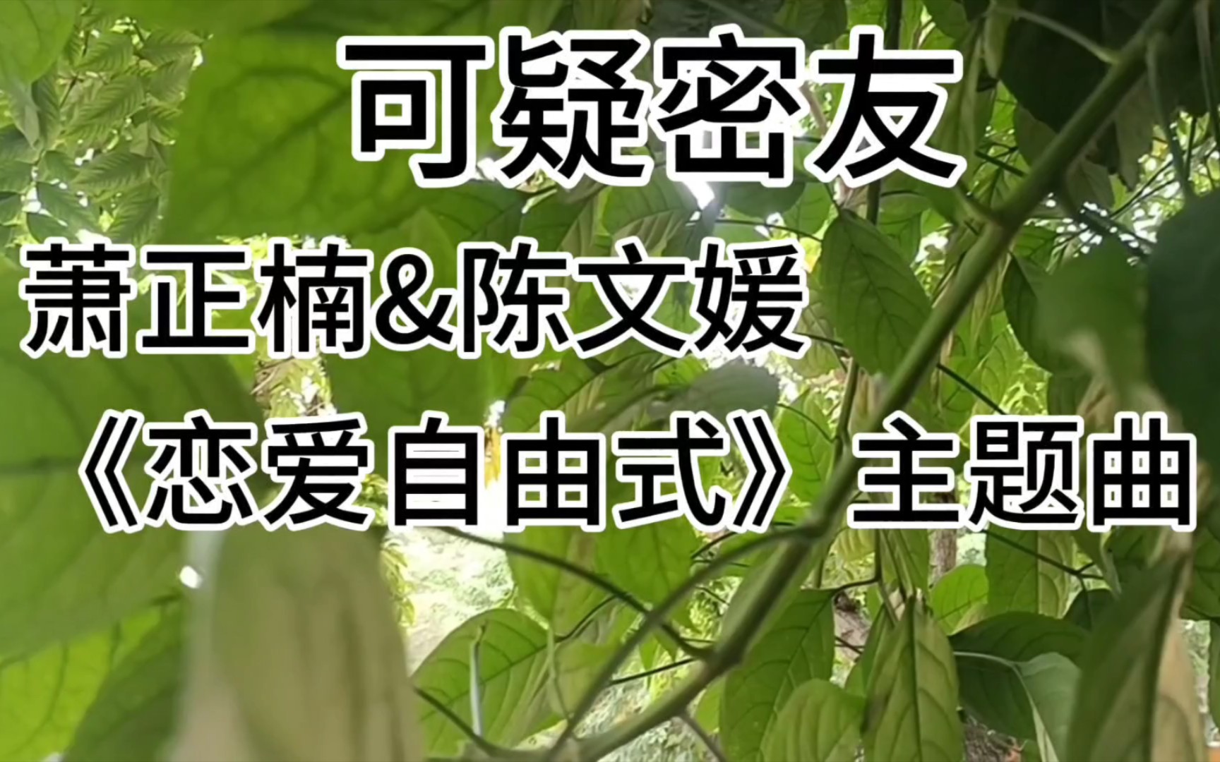 萧正楠&陈文媛——可疑密友《恋爱自由式》主题曲