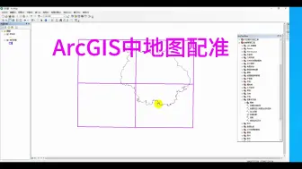 Download Video: 1.4 ArcGIS中地图配准