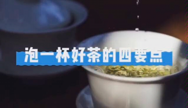 如何泡好一杯茶,泡茶四要素!哔哩哔哩bilibili