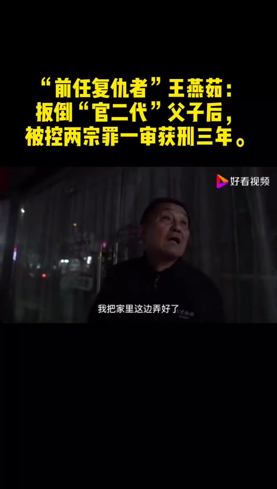 “前任复仇者”王燕茹:扳倒“官二代”父子后,被控两宗罪一审获刑三年.哔哩哔哩bilibili