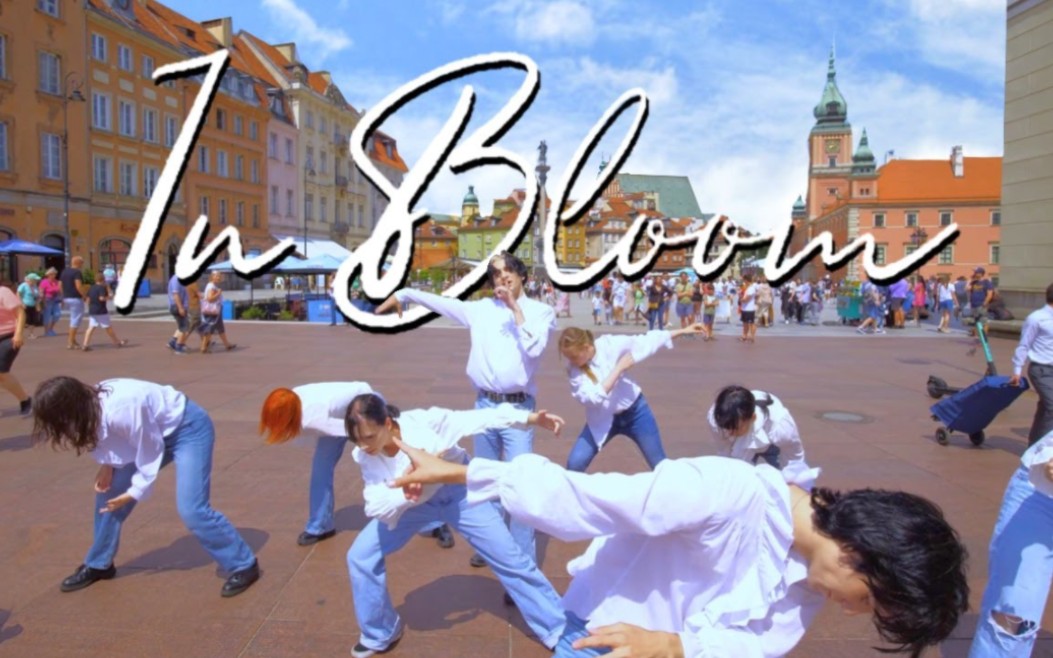 [图]波兰 ZEROBASEONE - 'In Bloom' | DANCE COVER by FocusON Crew