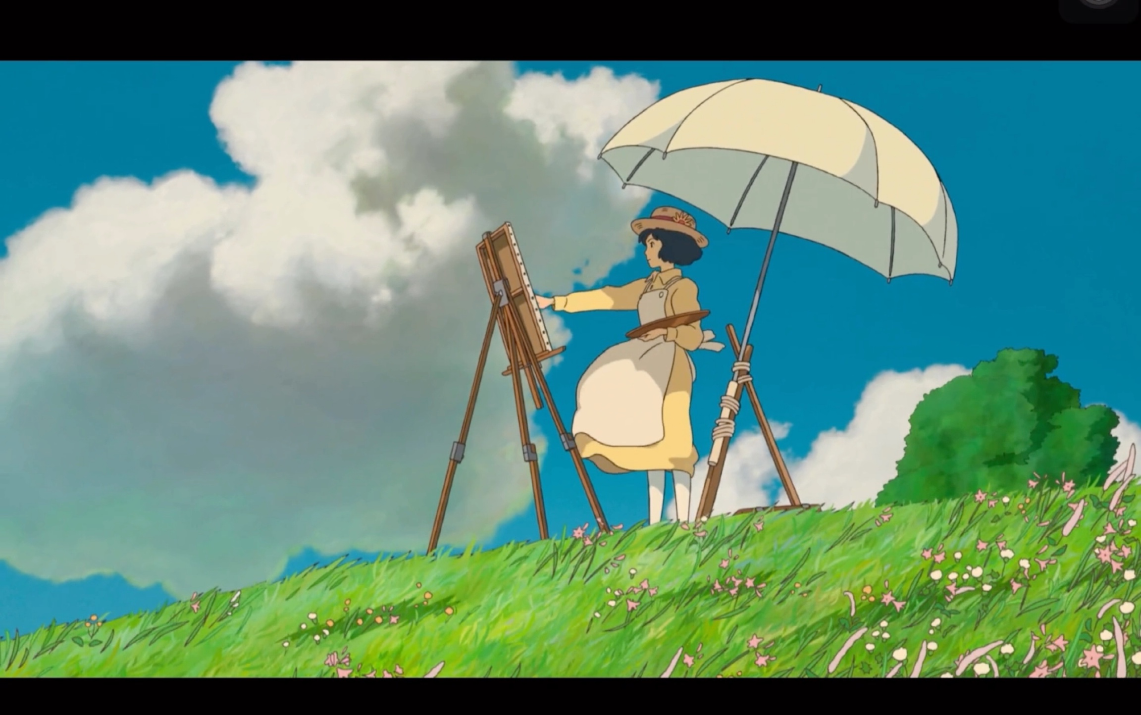 起风了,唯有努力生存.