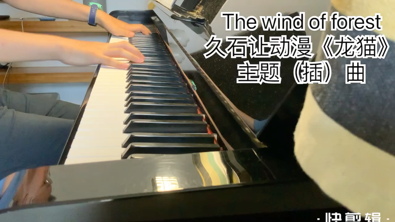 [图]The wind of forest 久石让动漫《龙猫》主题（插）曲