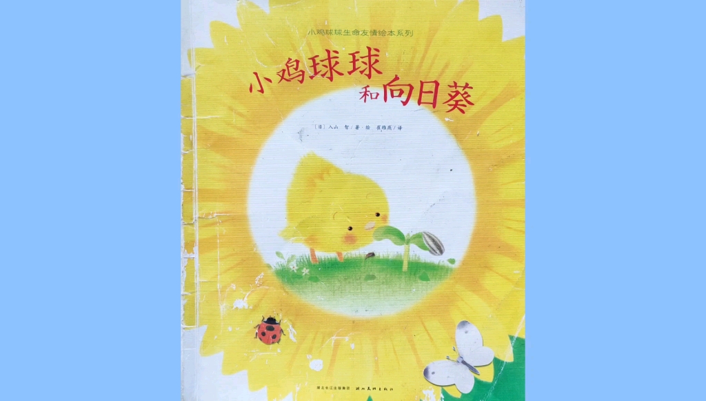 第十四本《小鸡球球和向日葵》下