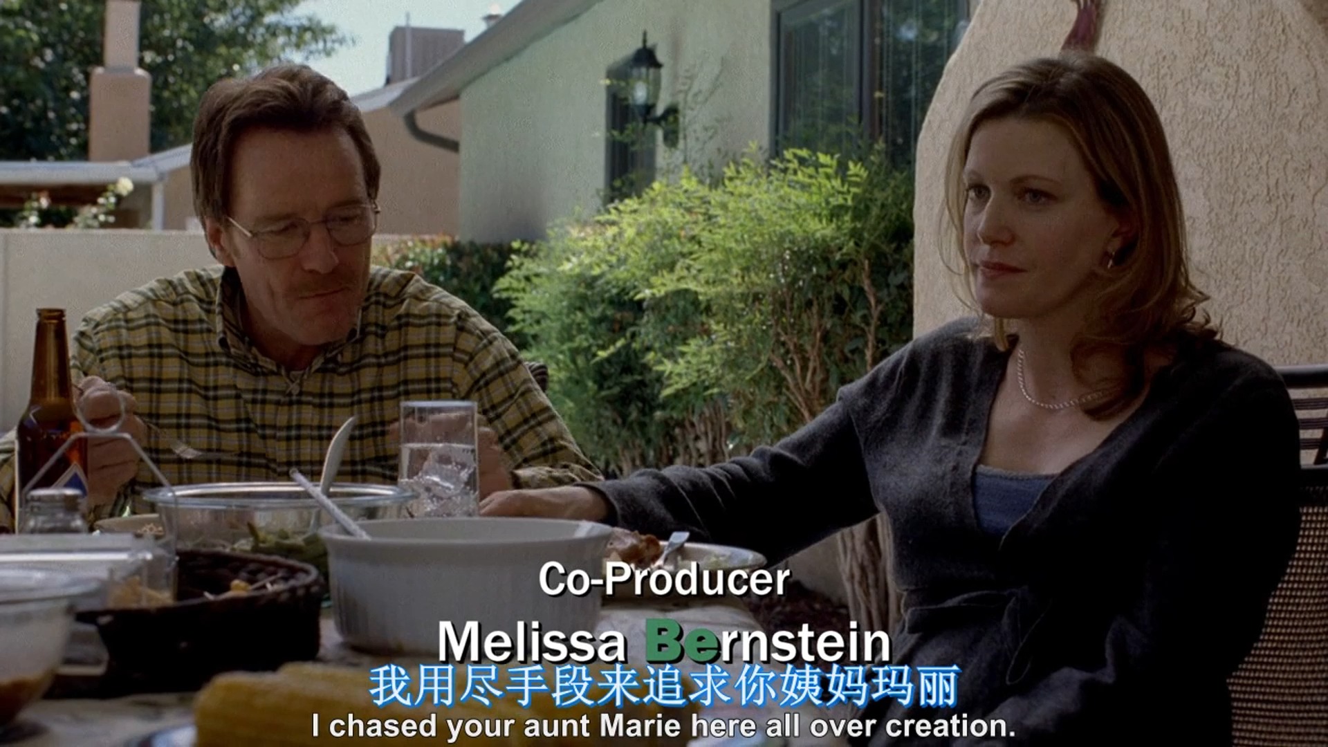 绝命毒师第一季4-1