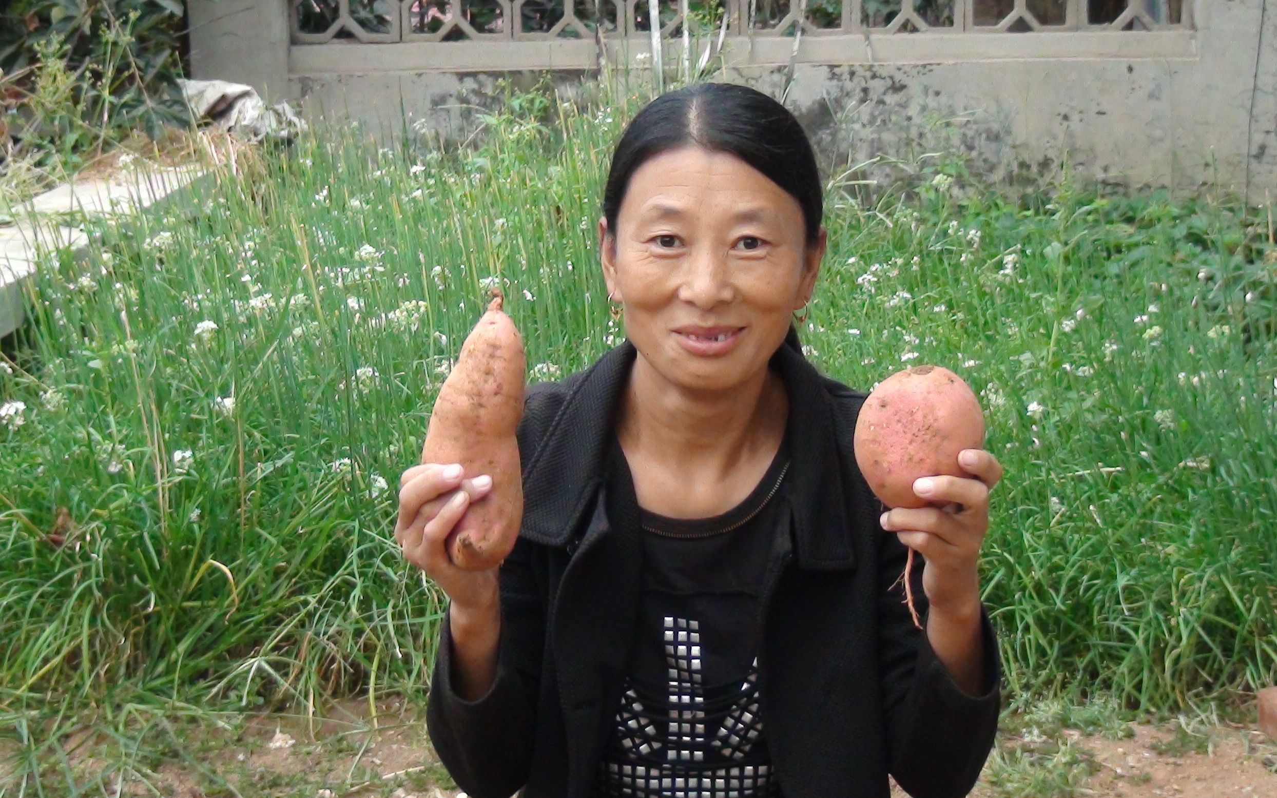 农村大锅嫂把自己家种的绿色无公害红薯这么做,大锅哥边吃边夸!