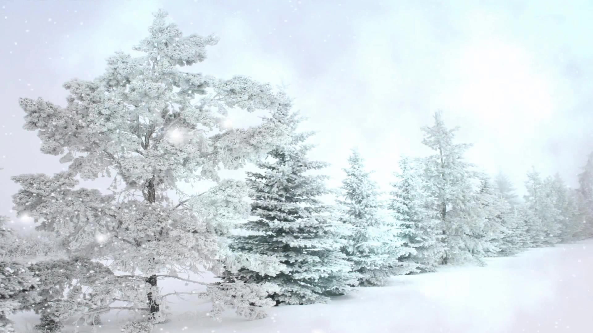 冬天雪地雪景飘雪森林(有音乐)舞台led背景视频素材哔哩哔哩bilibili