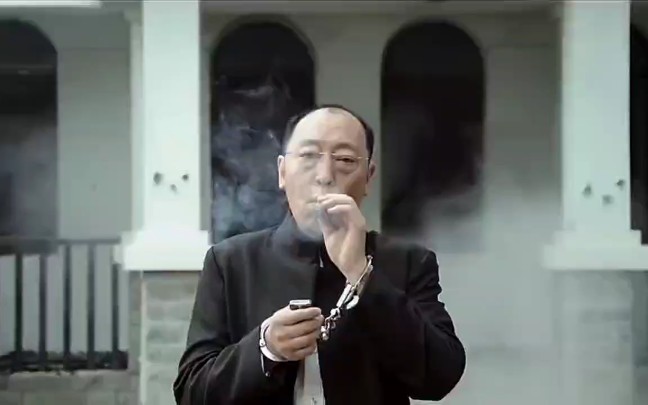 苏大强年轻的集锦