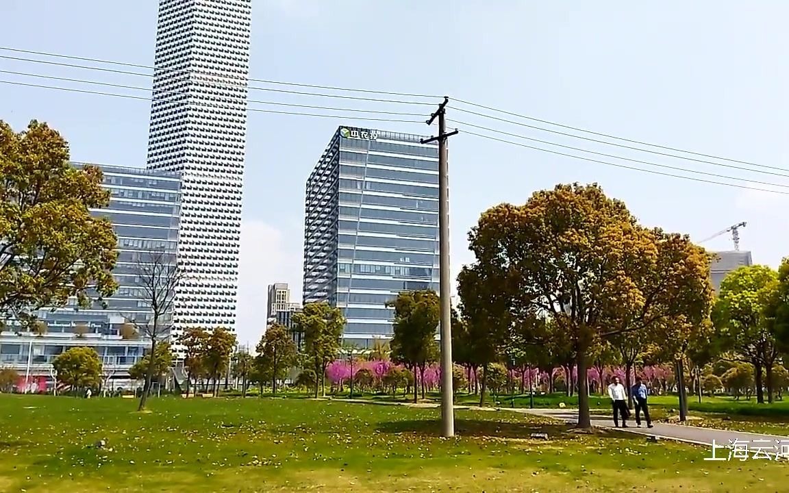 上海后滩公园,不单有树林,还有高楼