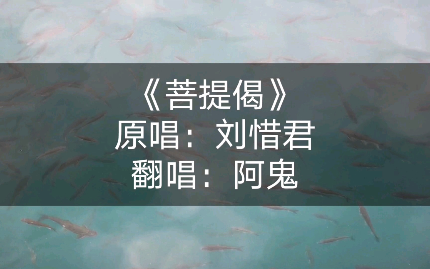 [图]独孤天下插曲《菩提偈》刘惜君原唱【阿鬼练歌房】