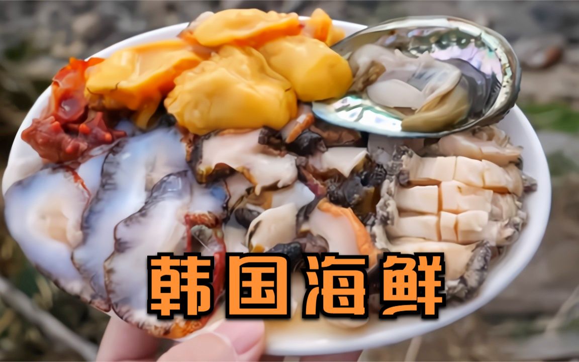 韩国海鲜海鞘鲍鱼章鱼