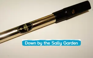 Download Video: 《Down by the sally garden》小众乐器——哨笛的入坑曲