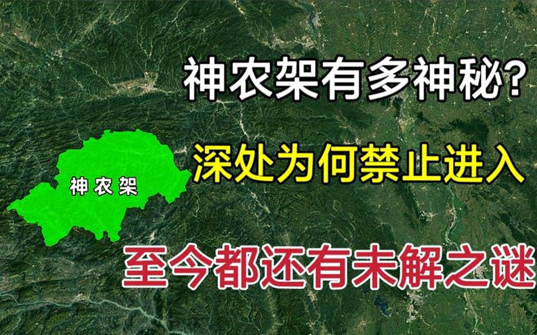 神农架到底有多神秘?为何深处不让进?至今都还有未解之谜!哔哩哔哩bilibili