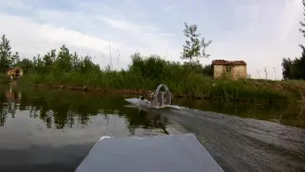 风动船 沼泽狗 第一视角跟拍