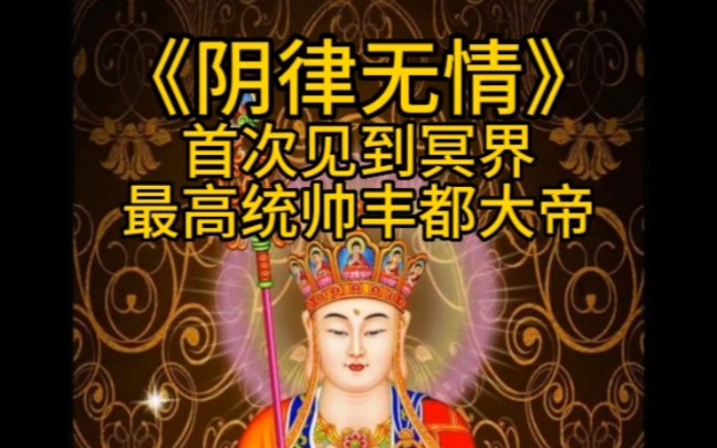 【140】《阴律无情》—首次见到冥界最高统帅丰都大帝.