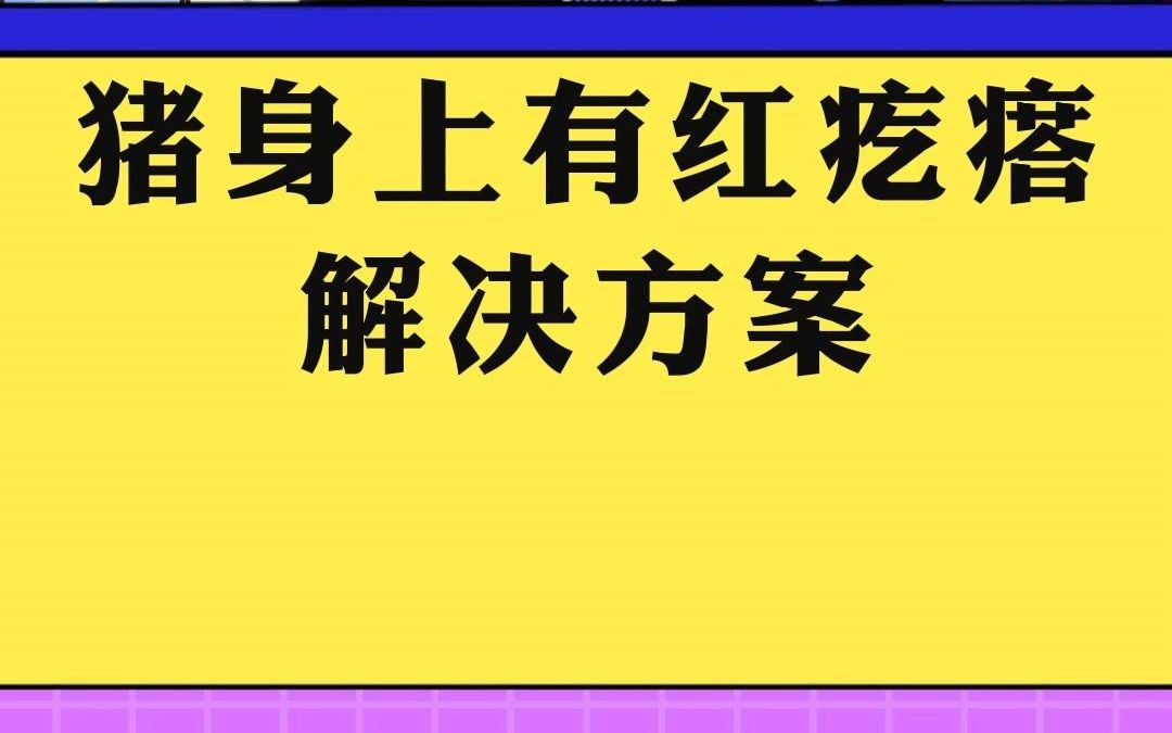 夏天猪身上有红疙瘩,基本是三种情况:湿疹、猪圆环、蚊虫叮咬!哔哩哔哩bilibili