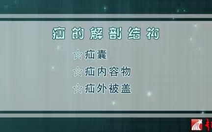 首都医科大学 腹外疝 全5讲 主讲陈杰 视频教程哔哩哔哩bilibili