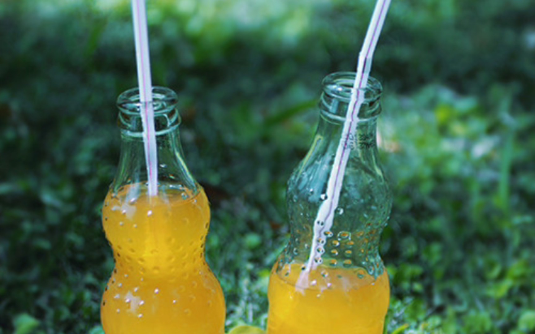 请你嚯一杯橘子汽水,淡到没气泡的那种