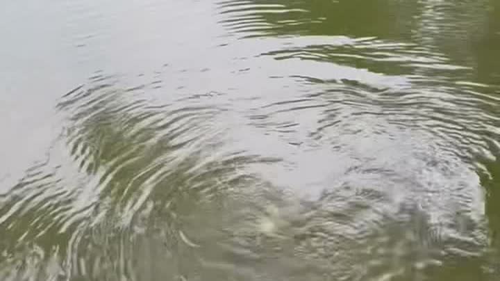 无锡市江阴市附近手机掉水库打捞、水库打捞