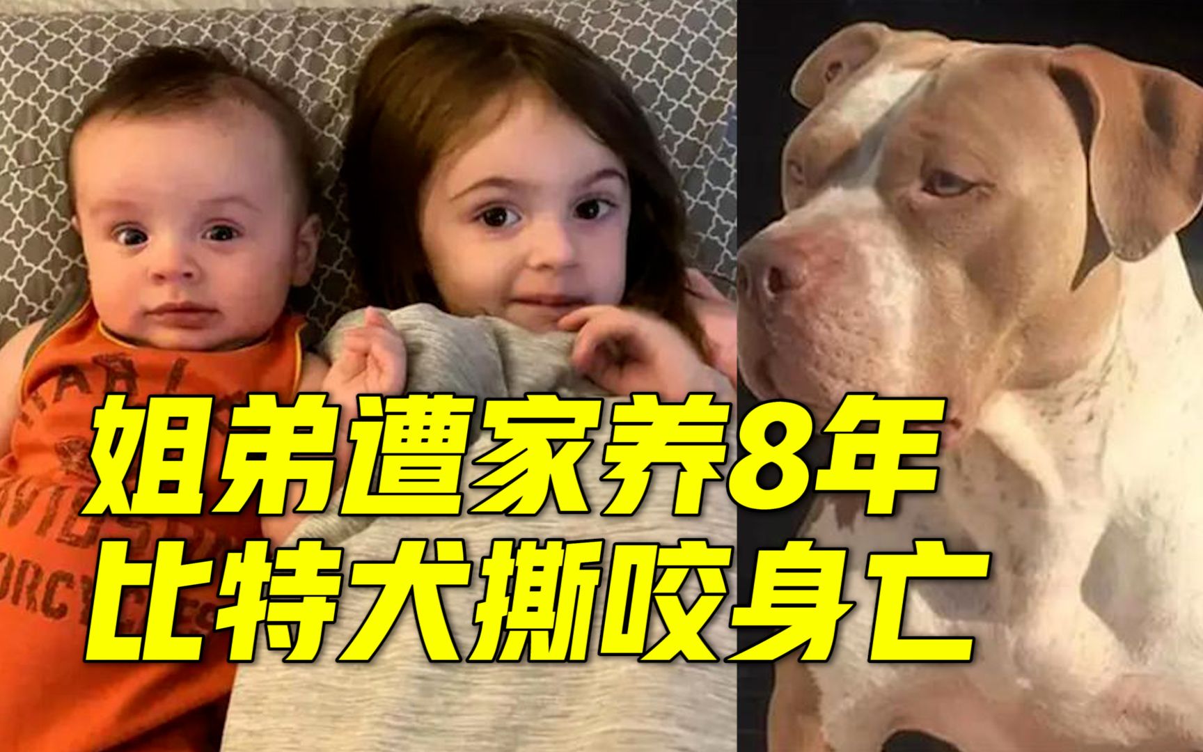 [图]美国一对小姐弟被家中两只养了8年的比特犬咬死，弟弟只有5个月大