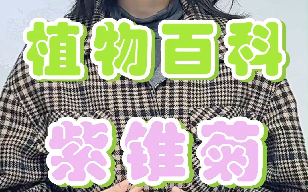 紫锥菊的功效(紫锥菊:提高免疫力,缓解感冒症状)