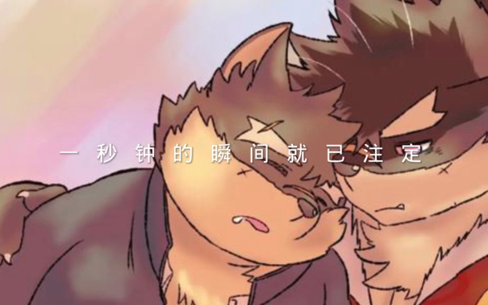 戍孝和八房哔哩哔哩bilibili