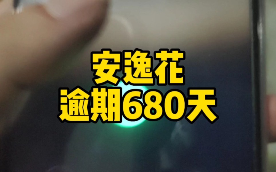 安逸花逾期680天,看看催收讲了啥?哔哩哔哩bilibili