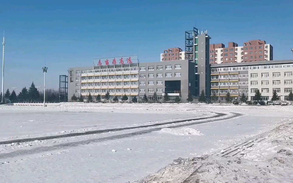 农安实验中学  我拍不出它的美