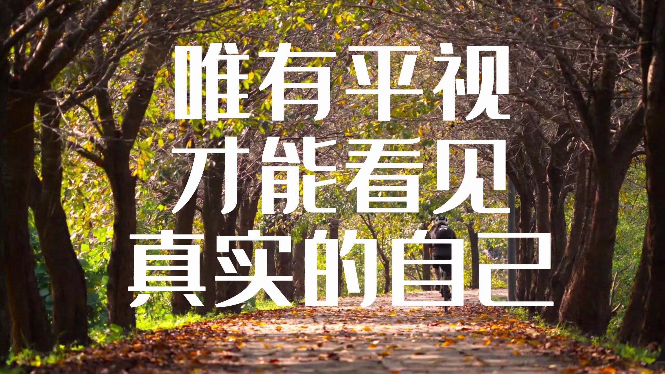 唯有平视,才能看见真实的自己.