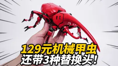 甲虫模型-哔哩哔哩_Bilibili