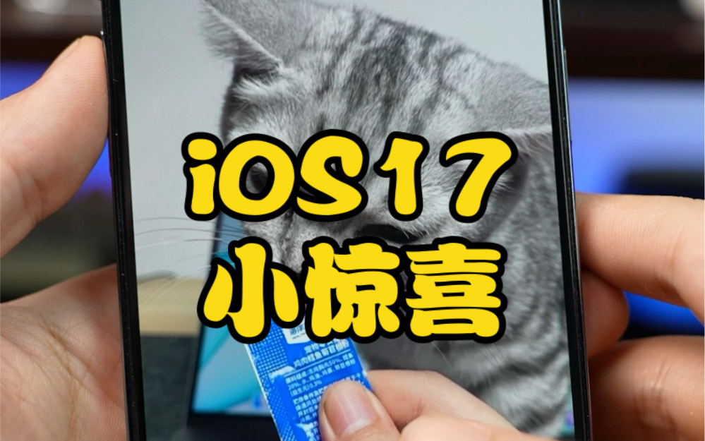 ios17小惊喜!实况壁纸回归,你还喜欢现在的实况壁纸吗?哔哩哔哩bilibili