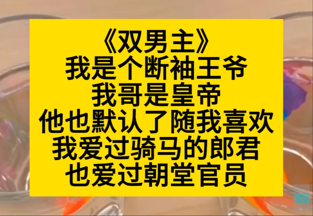 双男主 我是个断袖王爷,我哥是皇帝,他不管我,爱咋就咋,我爱过很多人……小说推荐哔哩哔哩bilibili