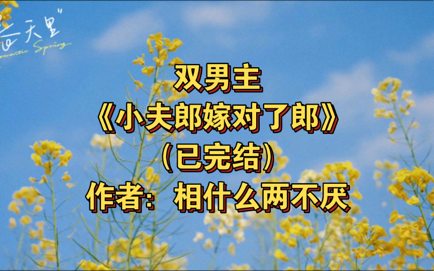 双男主《小夫郎嫁对了郎》已完结 作者:相什么两不厌,主受 轻松 种田【推文】晋江哔哩哔哩bilibili