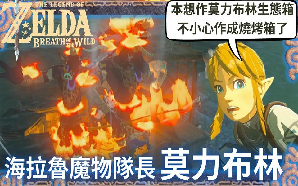 塞尔达传说 莫力布林 ,生态观察篇,海拉鲁灾厄魔物祕录系列