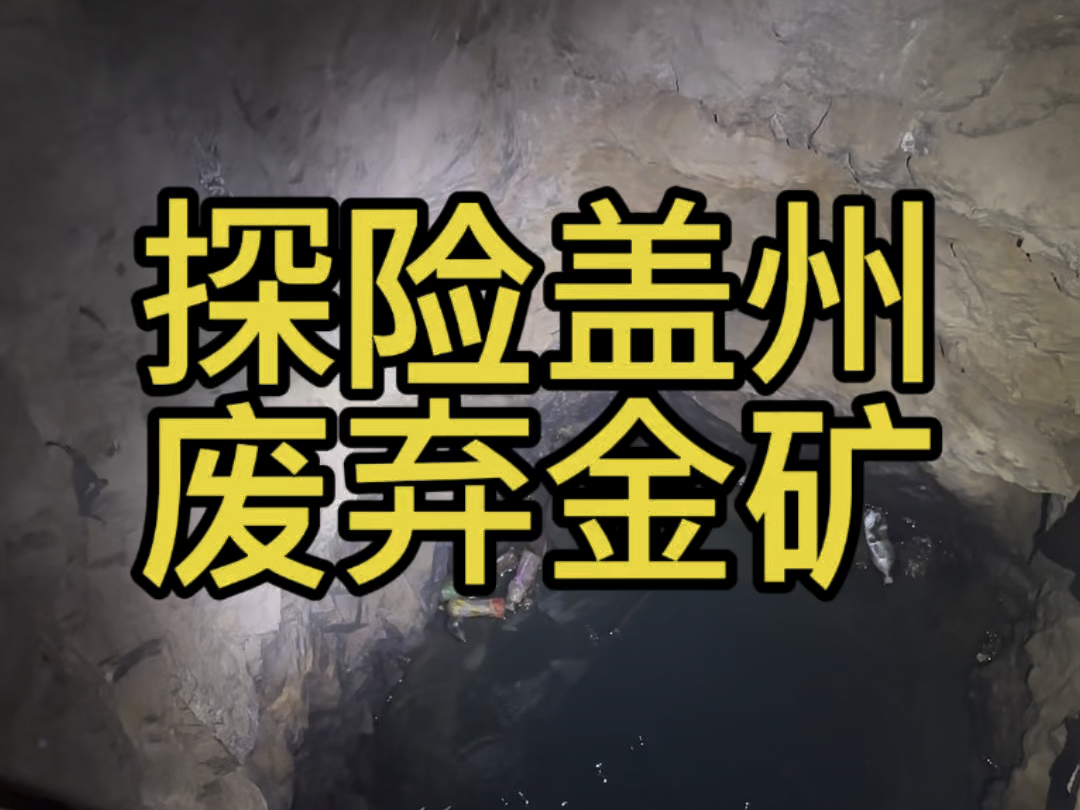 盖州市是中国三大“世界级金矿”之一,其黄金探明储量达到了275吨.#我为家乡代言 #寻宝 #矿坑哔哩哔哩bilibili