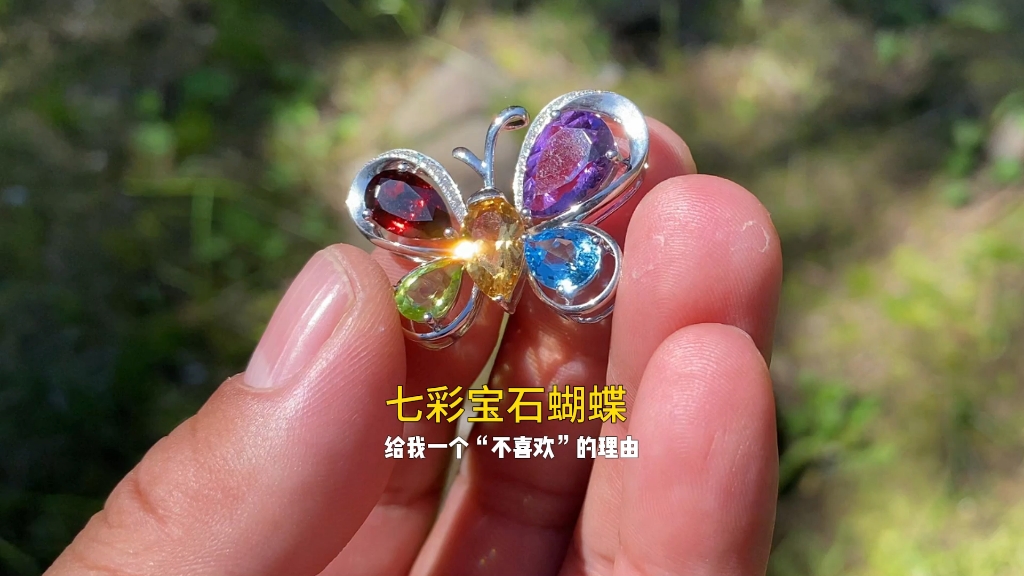 七彩宝石蝴蝶,想低调都难