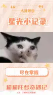 Download Video: 猫咪托梦：它们的小心思和告别方式