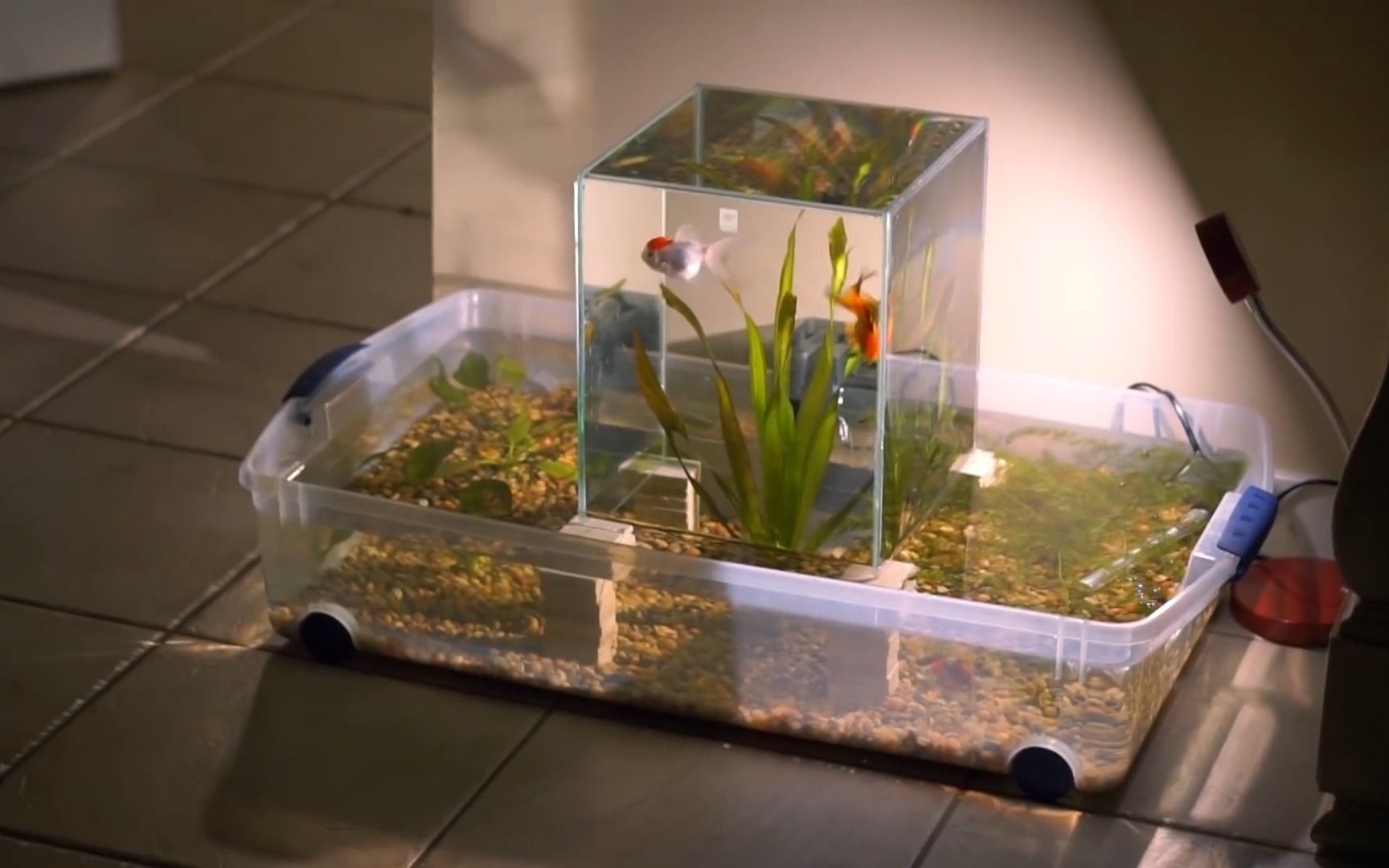 【鱼缸建造】建造一个悬浮式多层鱼缸,令人难以置信