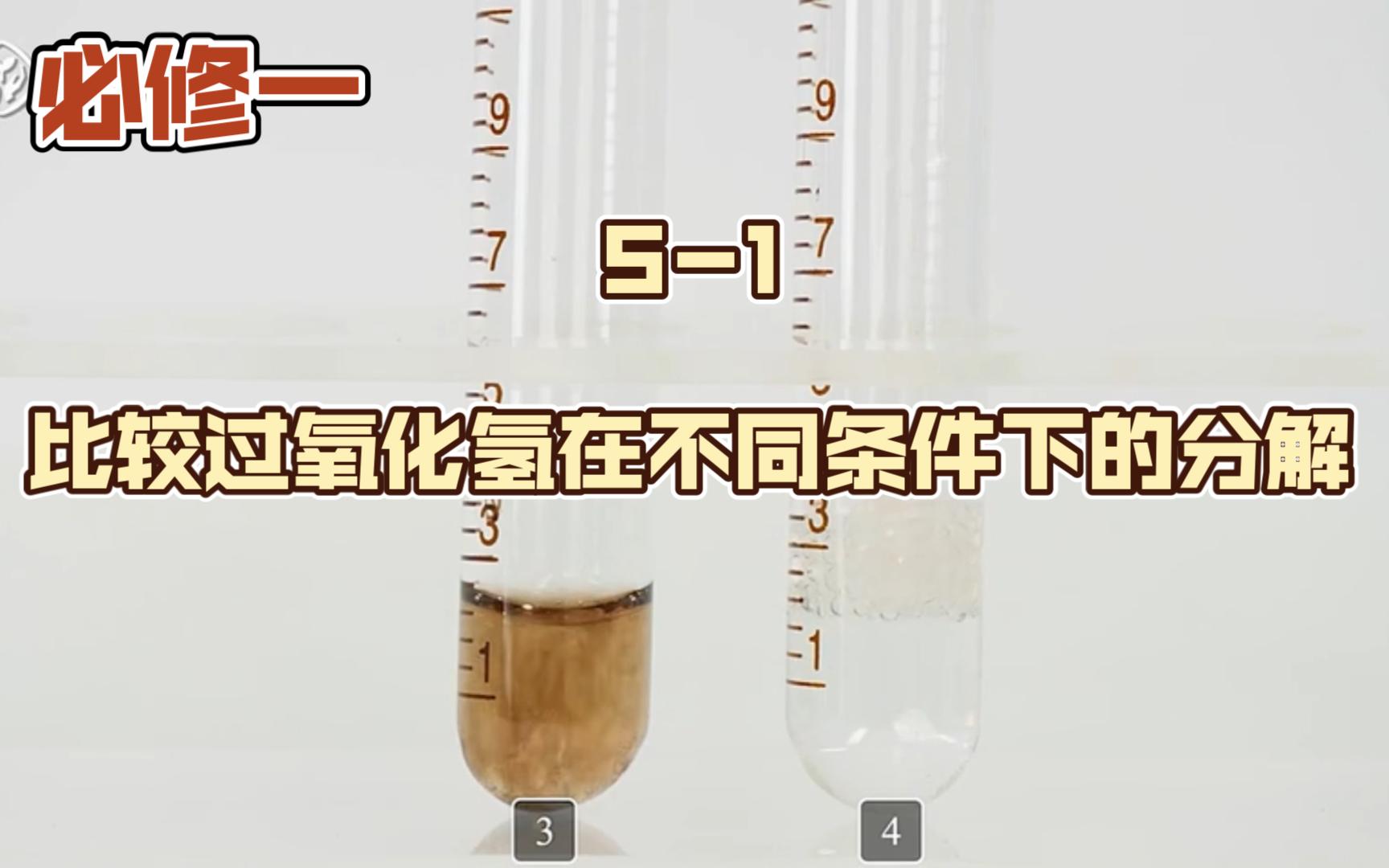 51比较过氧化氢在不同条件下的分解哔哩哔哩bilibili