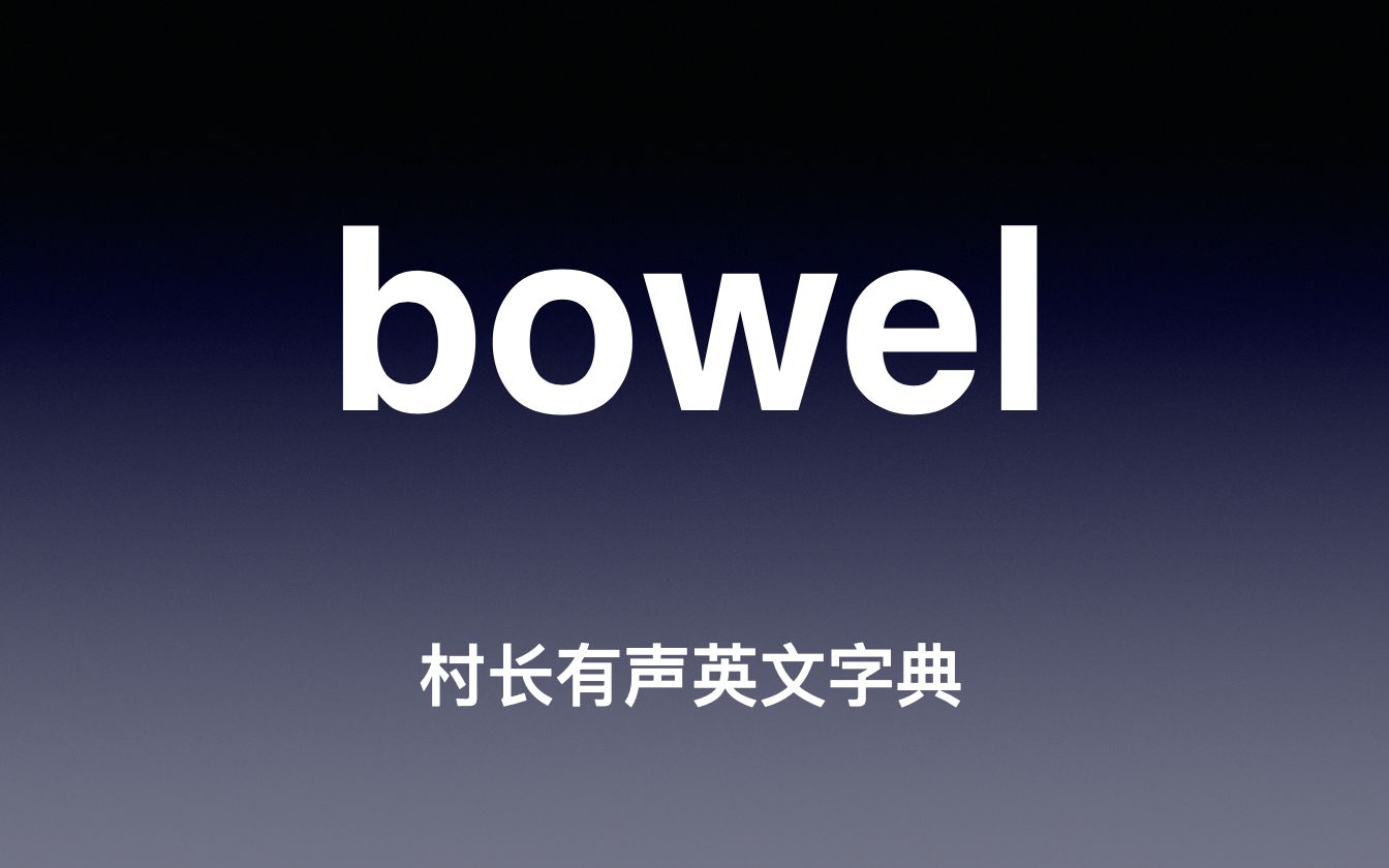 [图]bowel 《村长有声英文字典》