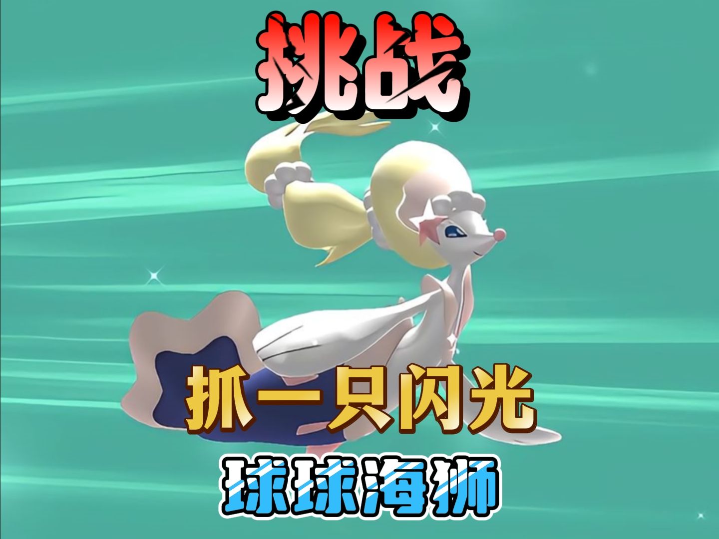 挑战抓暗光球球海狮