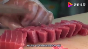 Tomikku Net 异尖线虫 寄生虫 最多的鱼是哪一条 哔哩哔哩 つロ干杯 Bilibili