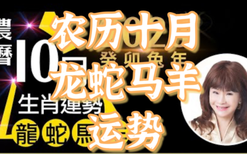 【2023年农历十月12生肖运势】2023癸卯免年,农历10月,龙蛇马羊,生肖运势大解析!哔哩哔哩bilibili