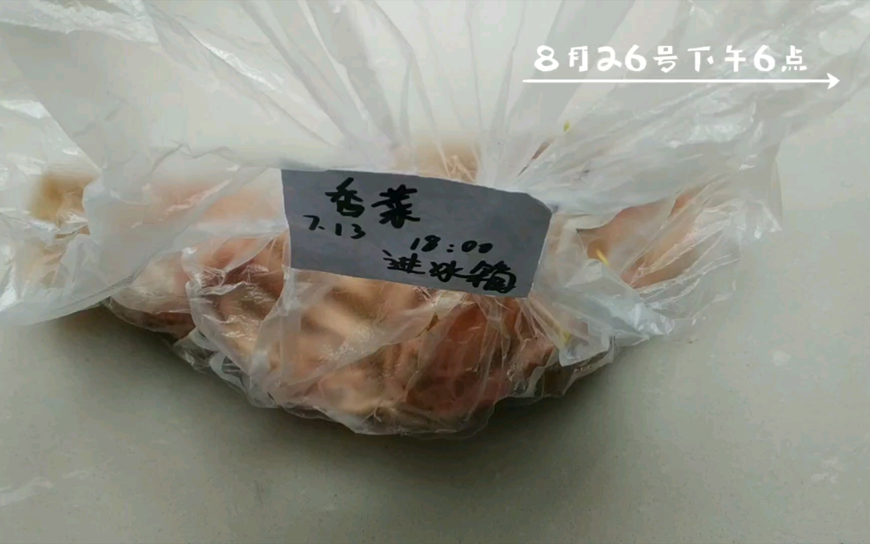 阳台种菜22——在冰箱放了40多天的香菜种子成这个样子了哔哩哔哩bilibili