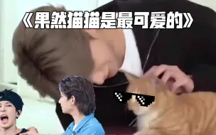 Download Video: 【all刷但圆刷】主人有很多狗狗，但只有一只最宠爱的猫～