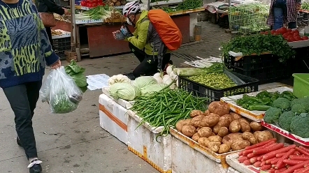 [图]假旅游真求援