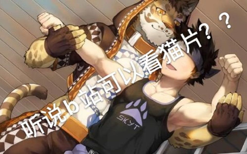 【家有大猫】兽人向,我感觉自己发现了新♂大♂陆._哔哩哔哩_bilibili