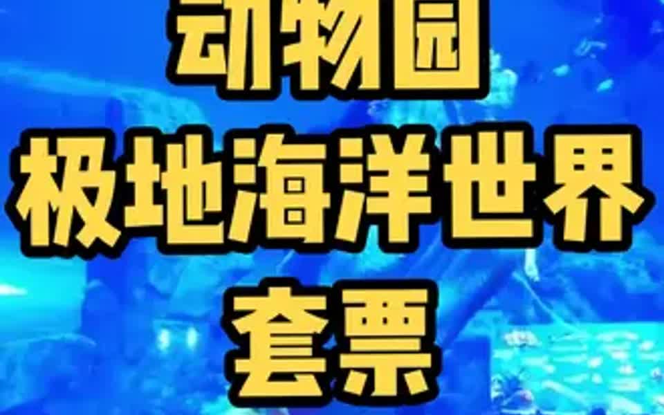 石家庄动物园海洋极地世界 石家庄海洋馆哔哩哔哩bilibili